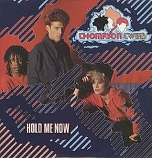 220px-holdmeno-thompsontwins-cover_orig