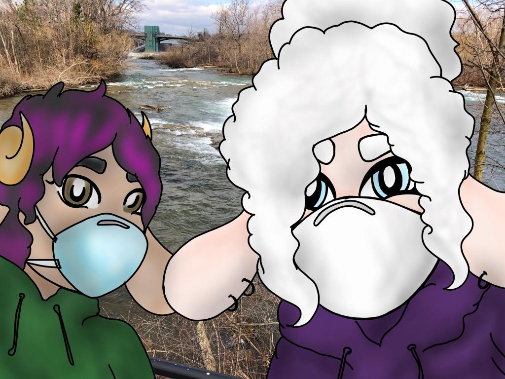 Sheepie Niagara and Ellis during the COVID-19 lockdown in Niagara Falls State Park