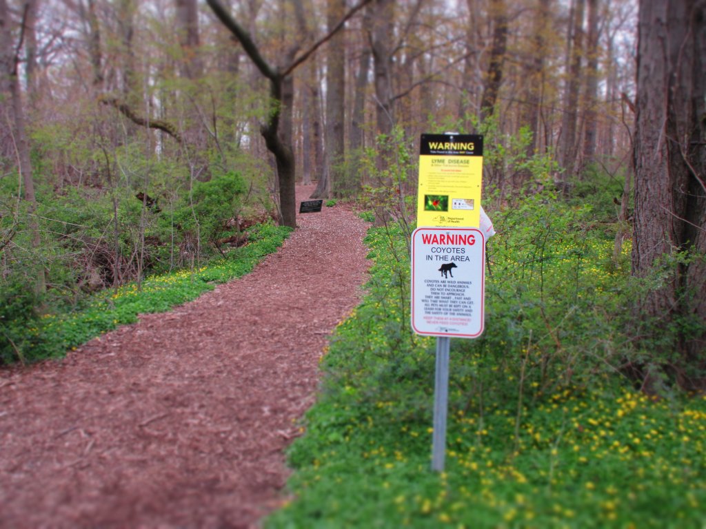 Coyote and Tick warning sign.