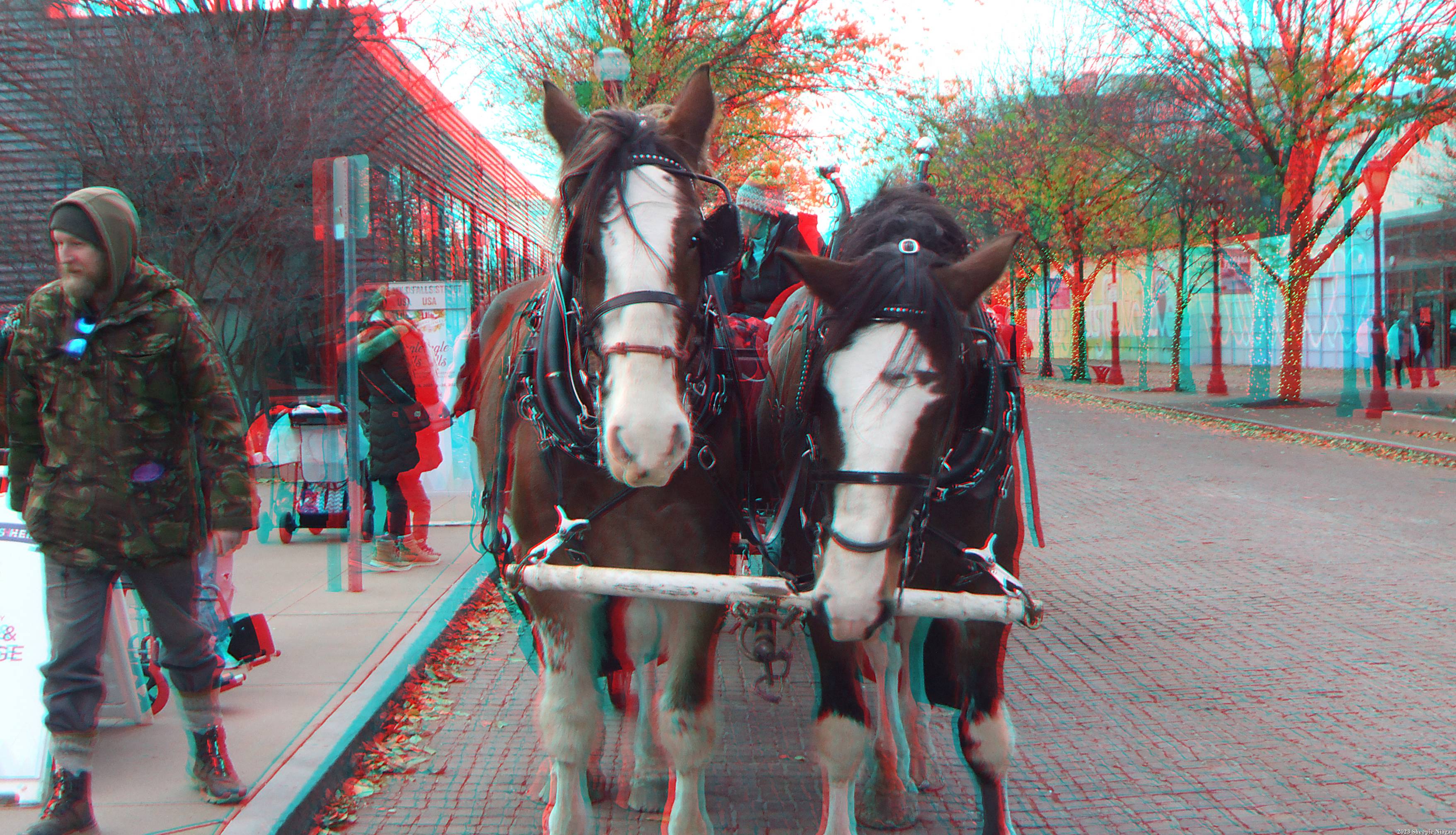 Anaglyph 3D view of Clydesdale horses pulling wagonette on Old Falls Street, Niagara Falls, NY